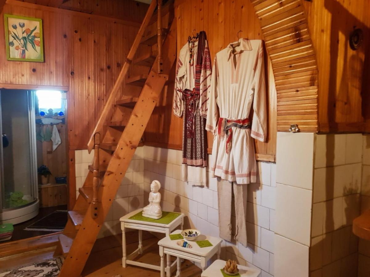 Littel Green Old Home Sighișoara Zewnętrze zdjęcie