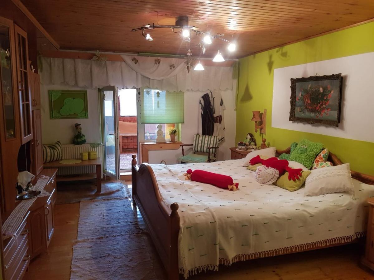 Littel Green Old Home Sighișoara Zewnętrze zdjęcie