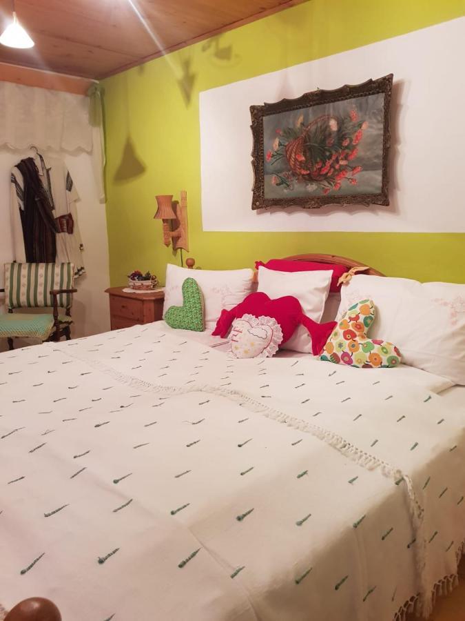 Littel Green Old Home Sighișoara Zewnętrze zdjęcie