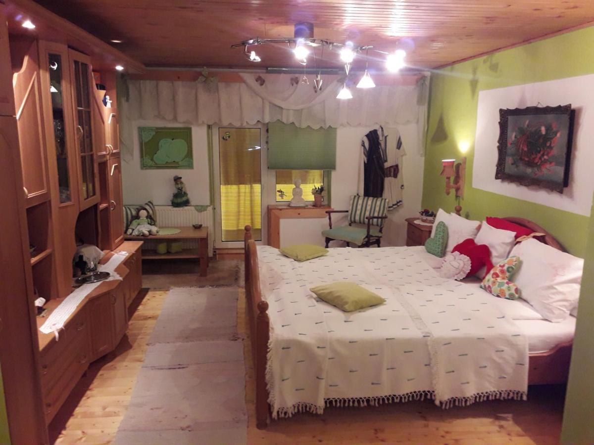 Littel Green Old Home Sighișoara Zewnętrze zdjęcie