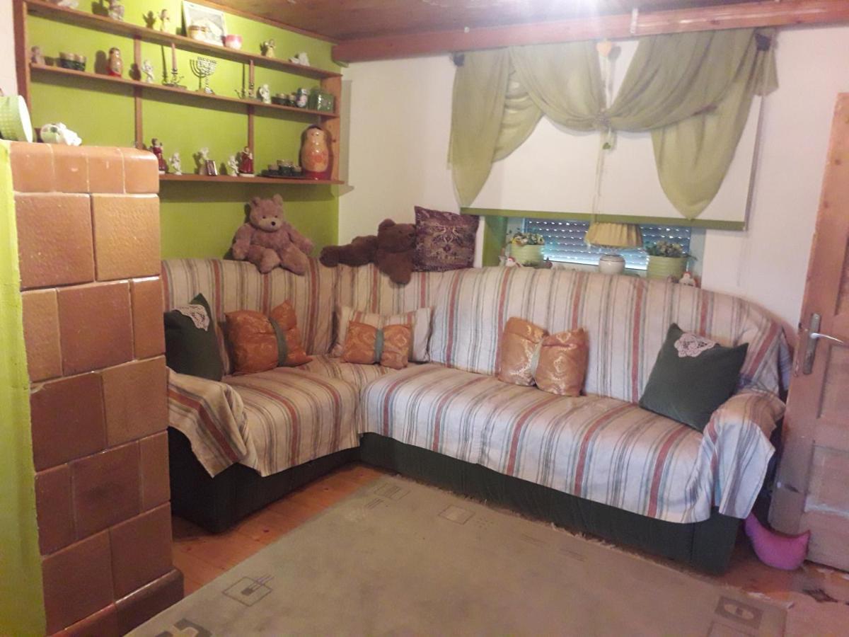 Littel Green Old Home Sighișoara Zewnętrze zdjęcie