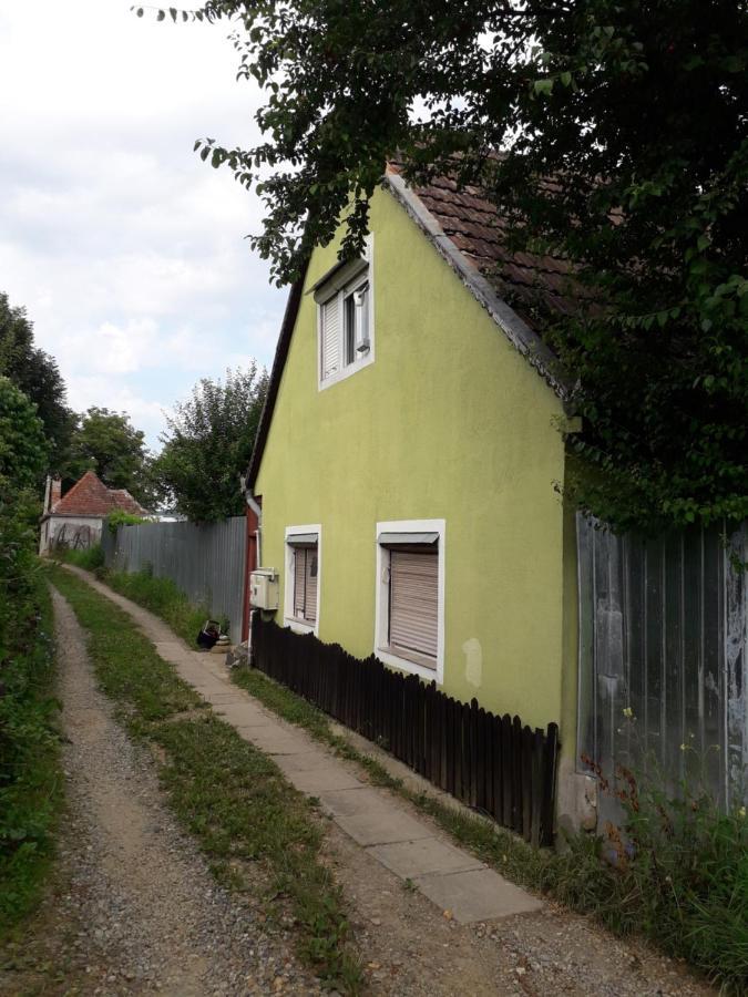 Littel Green Old Home Sighișoara Zewnętrze zdjęcie