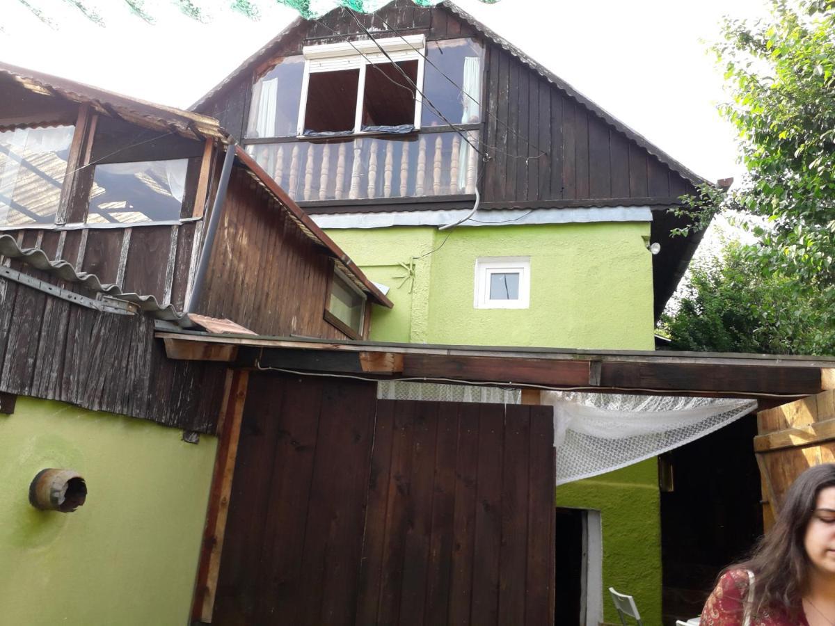 Littel Green Old Home Sighișoara Zewnętrze zdjęcie