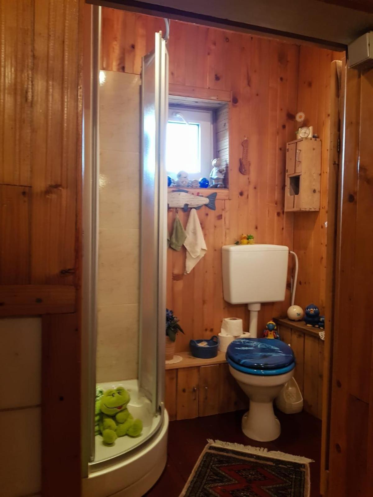 Littel Green Old Home Sighișoara Zewnętrze zdjęcie