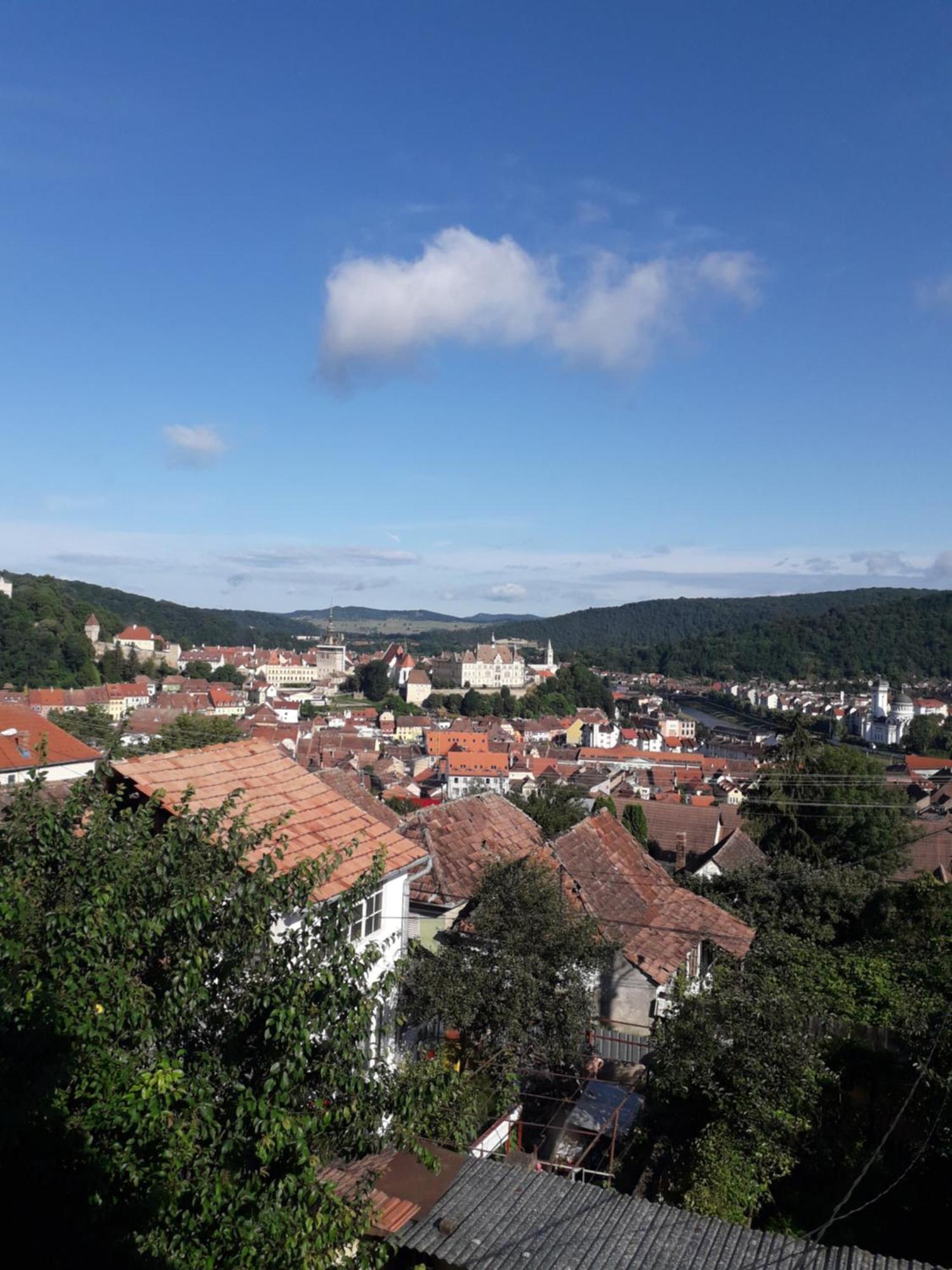 Littel Green Old Home Sighișoara Zewnętrze zdjęcie