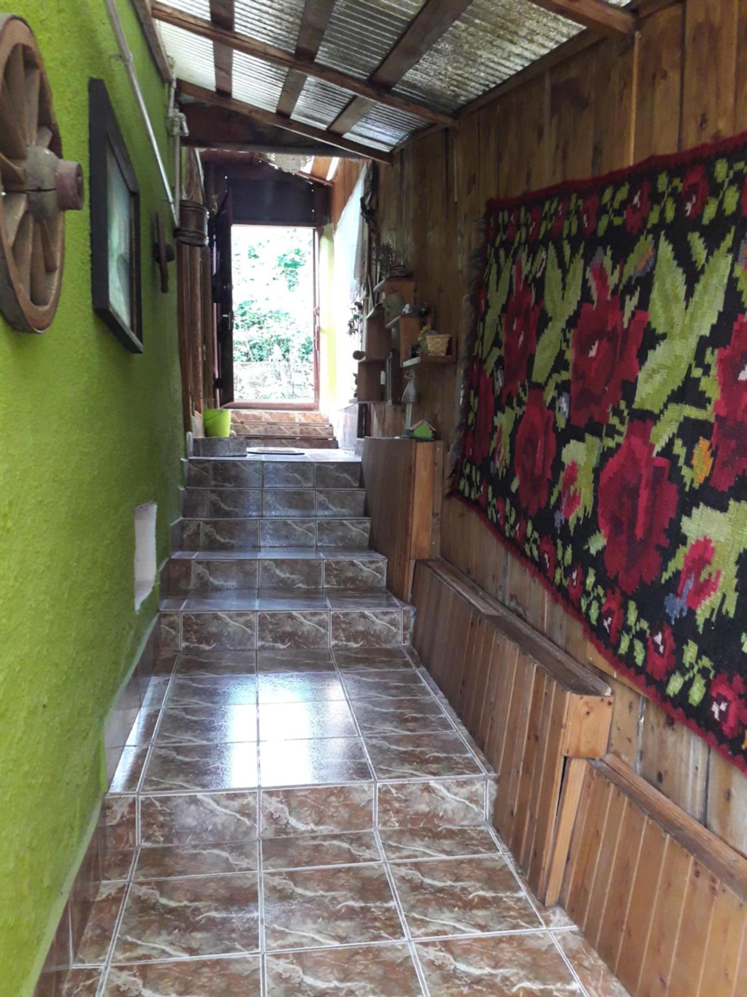 Littel Green Old Home Sighișoara Zewnętrze zdjęcie